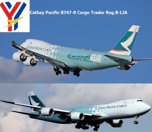 이미지 상세보기