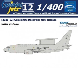 이미지 상세보기